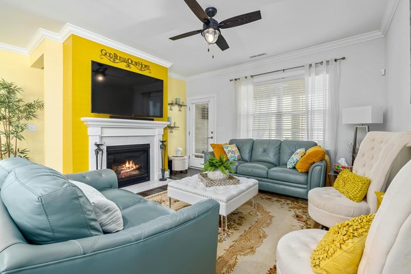 Intervention rapide anti-nuisibles à villeurbanne : efficacité garantie